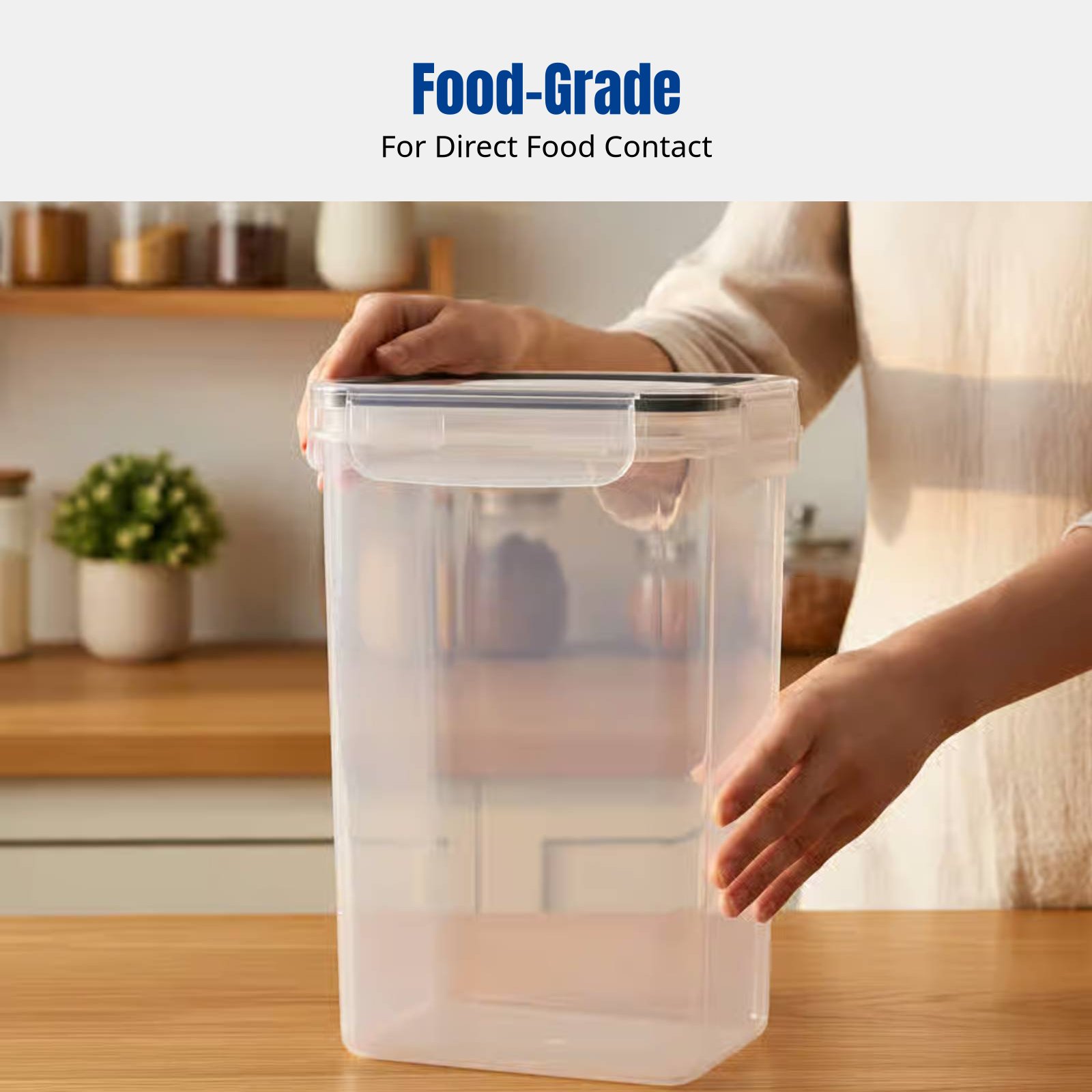 Luftdichtes Lebensmittel-Aufbe – Food Storage Container Bewertung und Preis