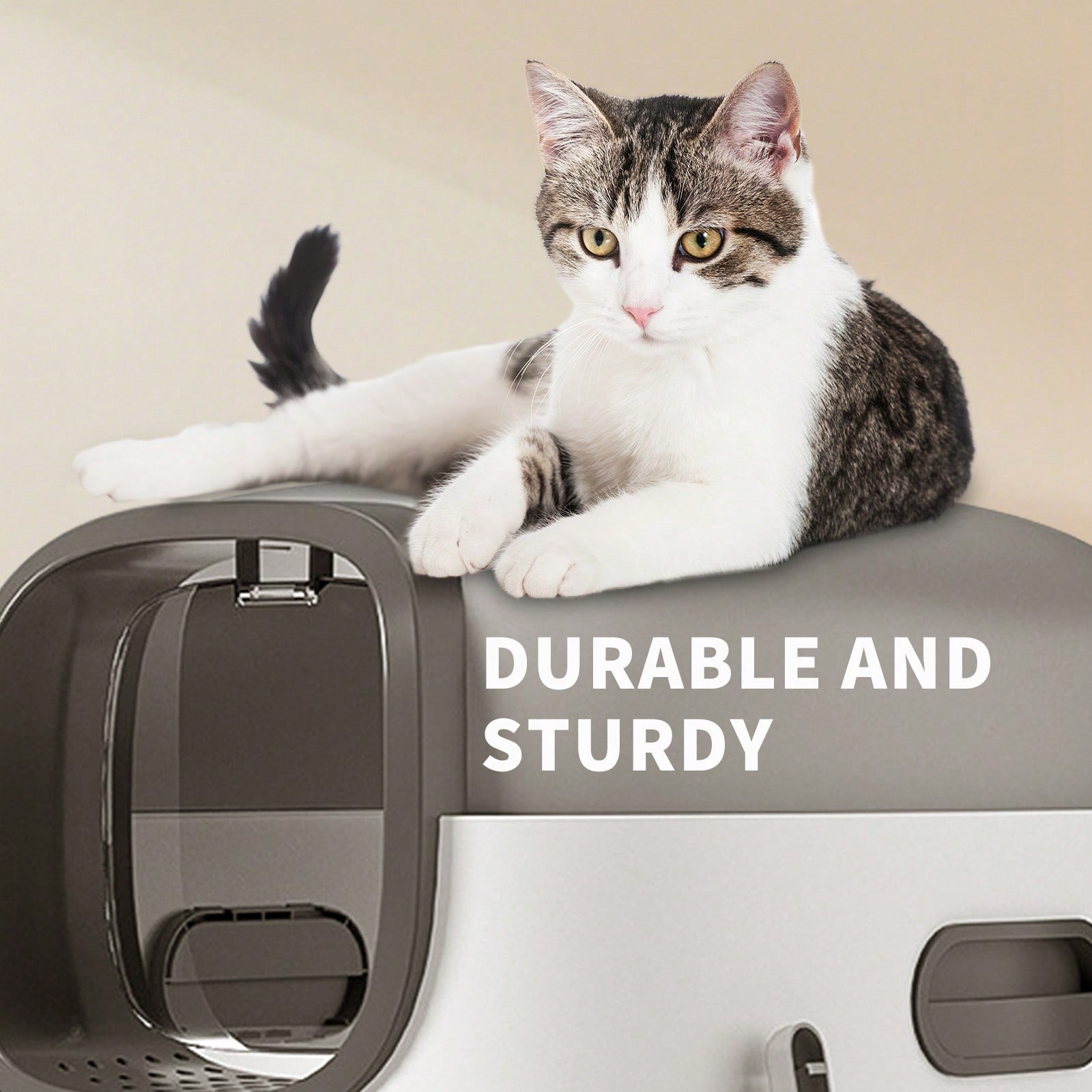 Faltbare Katzentoilette für Zu – Food Storage With Scoop Bewertung und Preis
