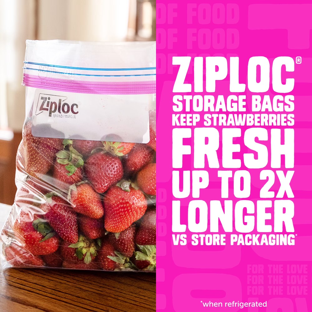 Ziploc Marken-Lebensmittel-Auf – Food Storage Brands Bewertung und Preis