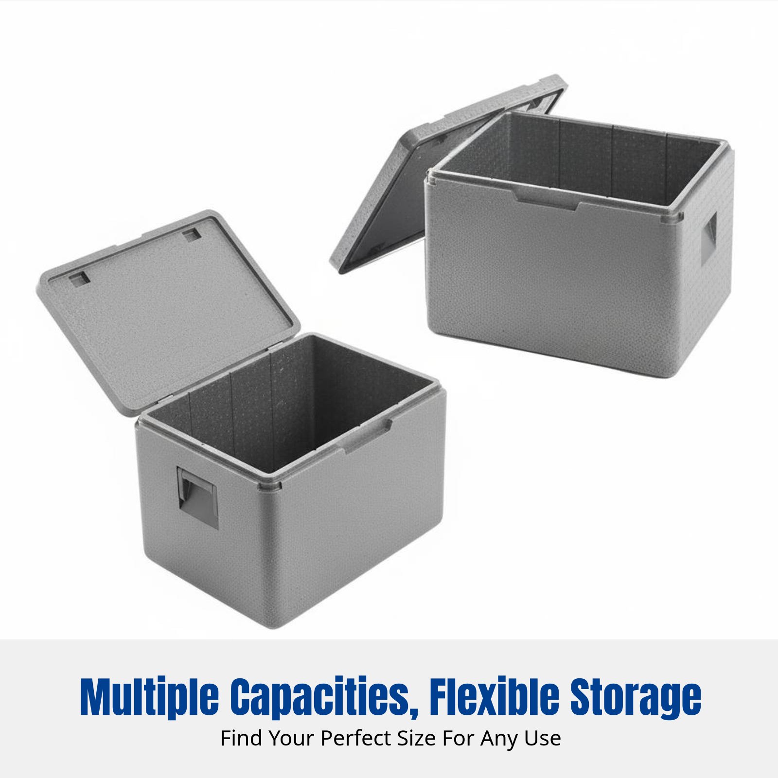 Große EPP-Schaum-Kühlbox, lebe – Food Storage Hot Box Bewertung und Preis
