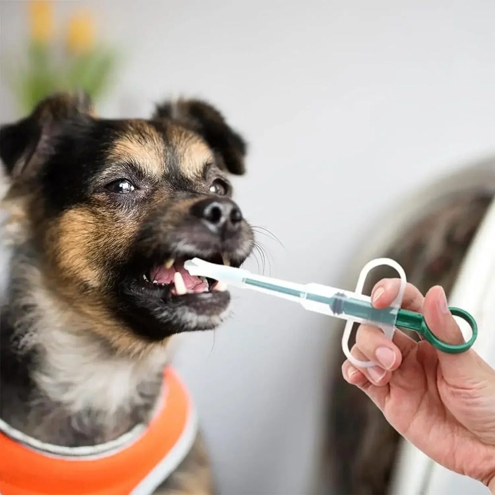 Hunde- und Katzenzubehör: Tier – Food Storage Youtube Bewertung und Preis