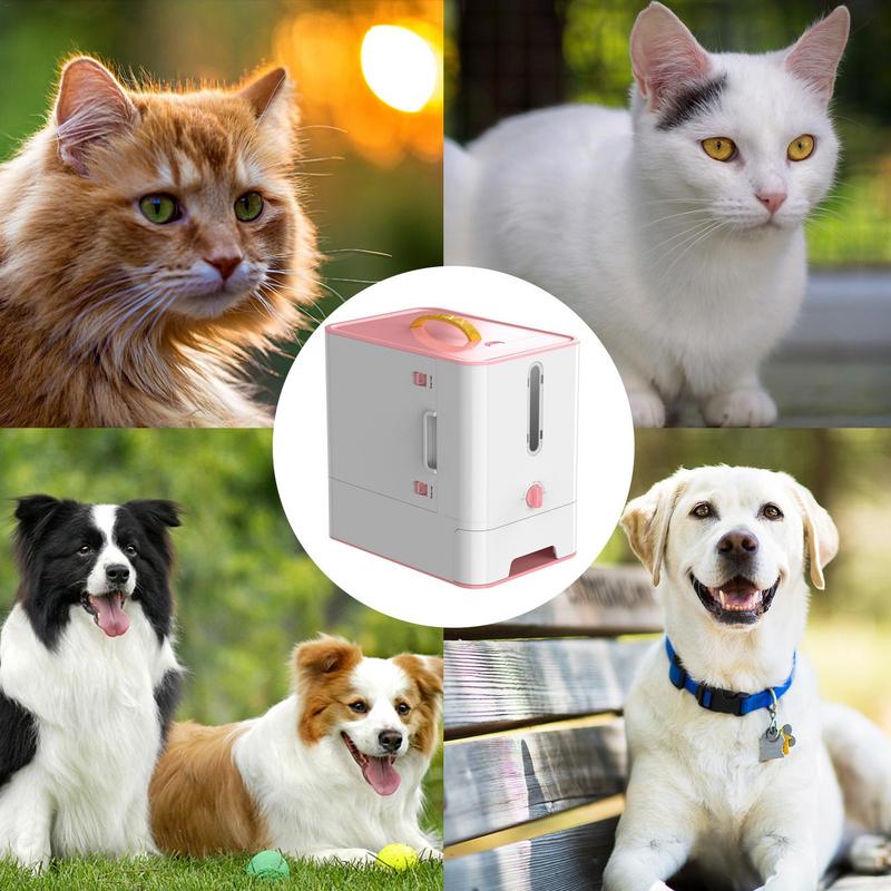 Pet Feeder Box Fütterung Schüs – Food Storage And Safety Bewertung und Preis