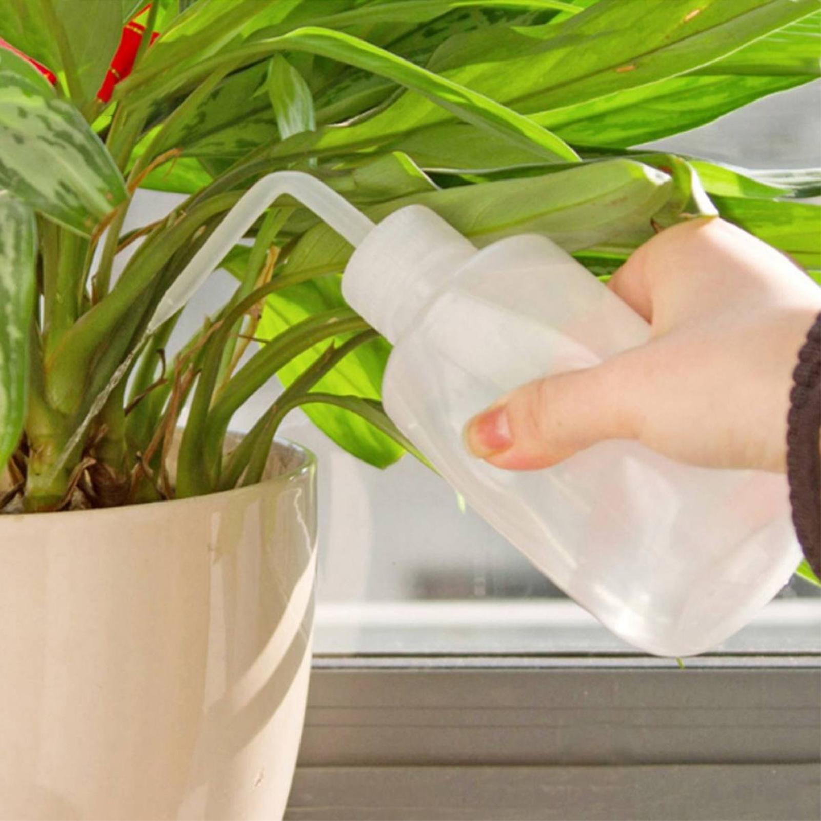 Quetschflasche 250ml Sicherhei – Food Storage And Safety Bewertung und Preis