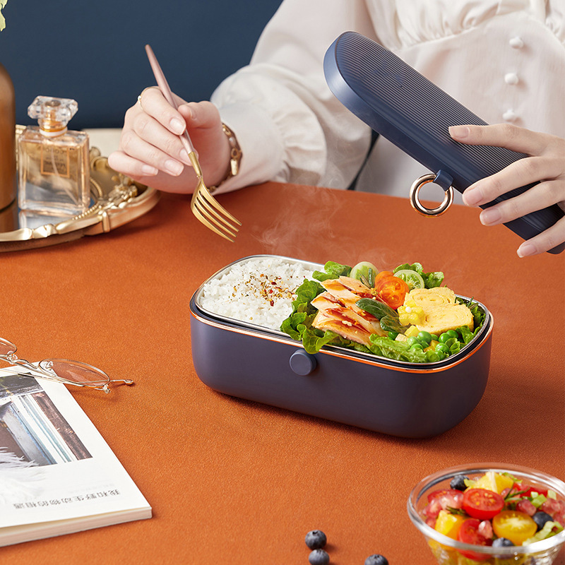 Elektrische Heizung Lunchbox S – Food Storage Reserve Bewertung und Preis