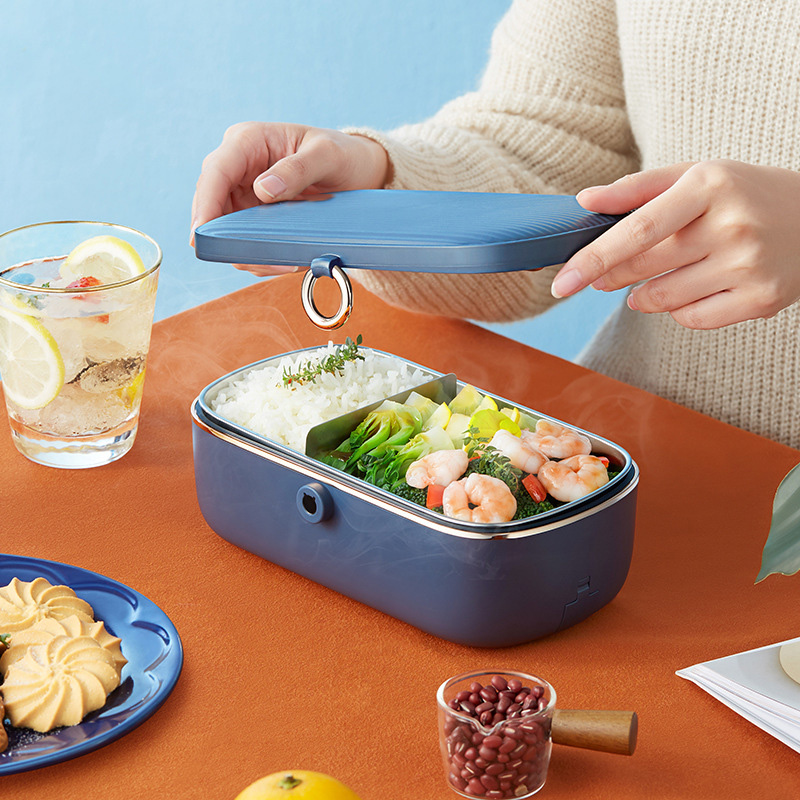 Elektrische Heizung Lunchbox S – Food Storage Reserve Bewertung und Preis