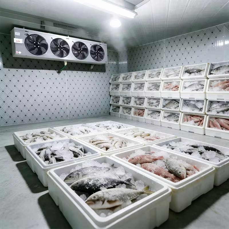 Kundenspezifischer, lebensmitt – Food Storage And Safety Bewertung und Preis