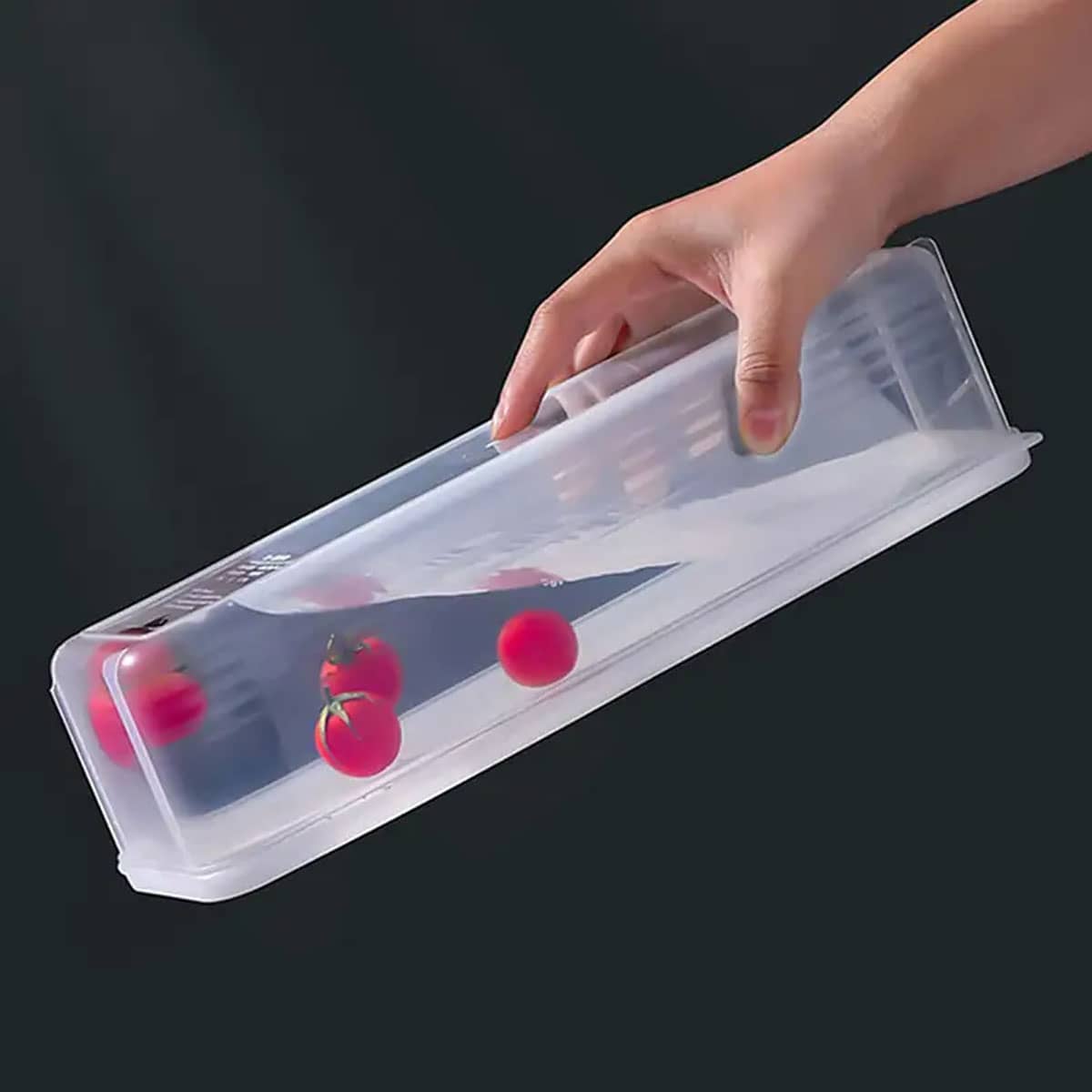 1 transparente Kunststoff-Aufb – Food Storage Quart Bewertung und Preis